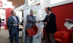 Economia Circolare: ingresso negli Stadi