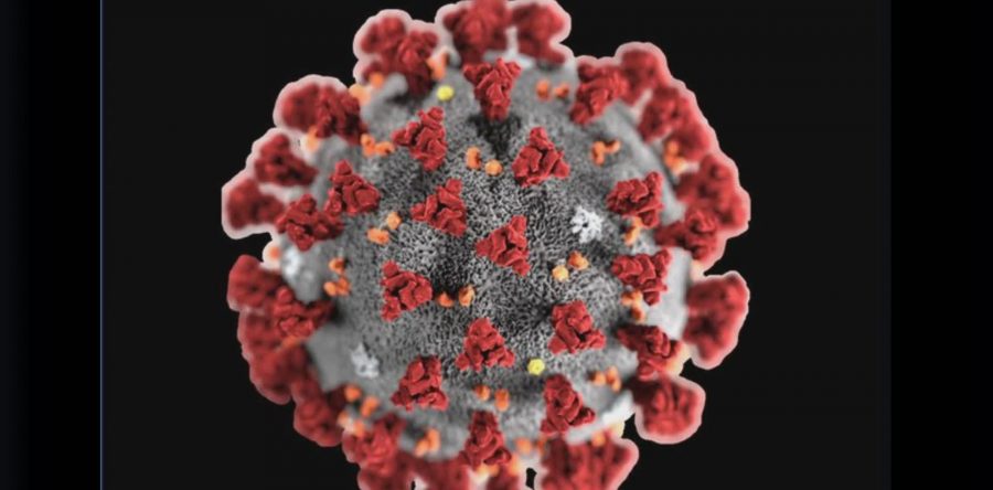Covid: sono 180 i nuovi casi, due i decessi