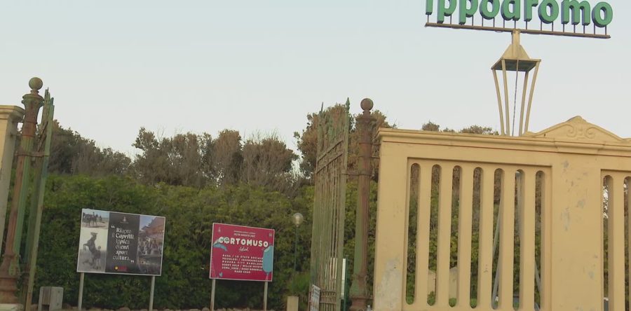 Ippica: sabato tornano le corse al Caprilli