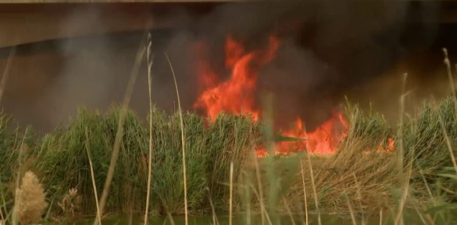 L’estate non è finita, cresce il rischio di incendi