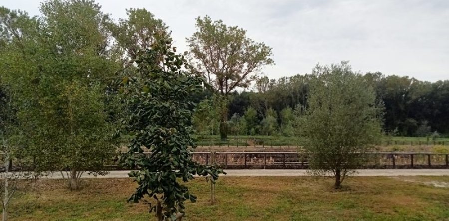 Parte il bosco della cultura ambientale